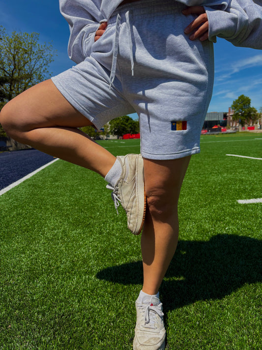 Wave the Flag 3" Sweat Shorts