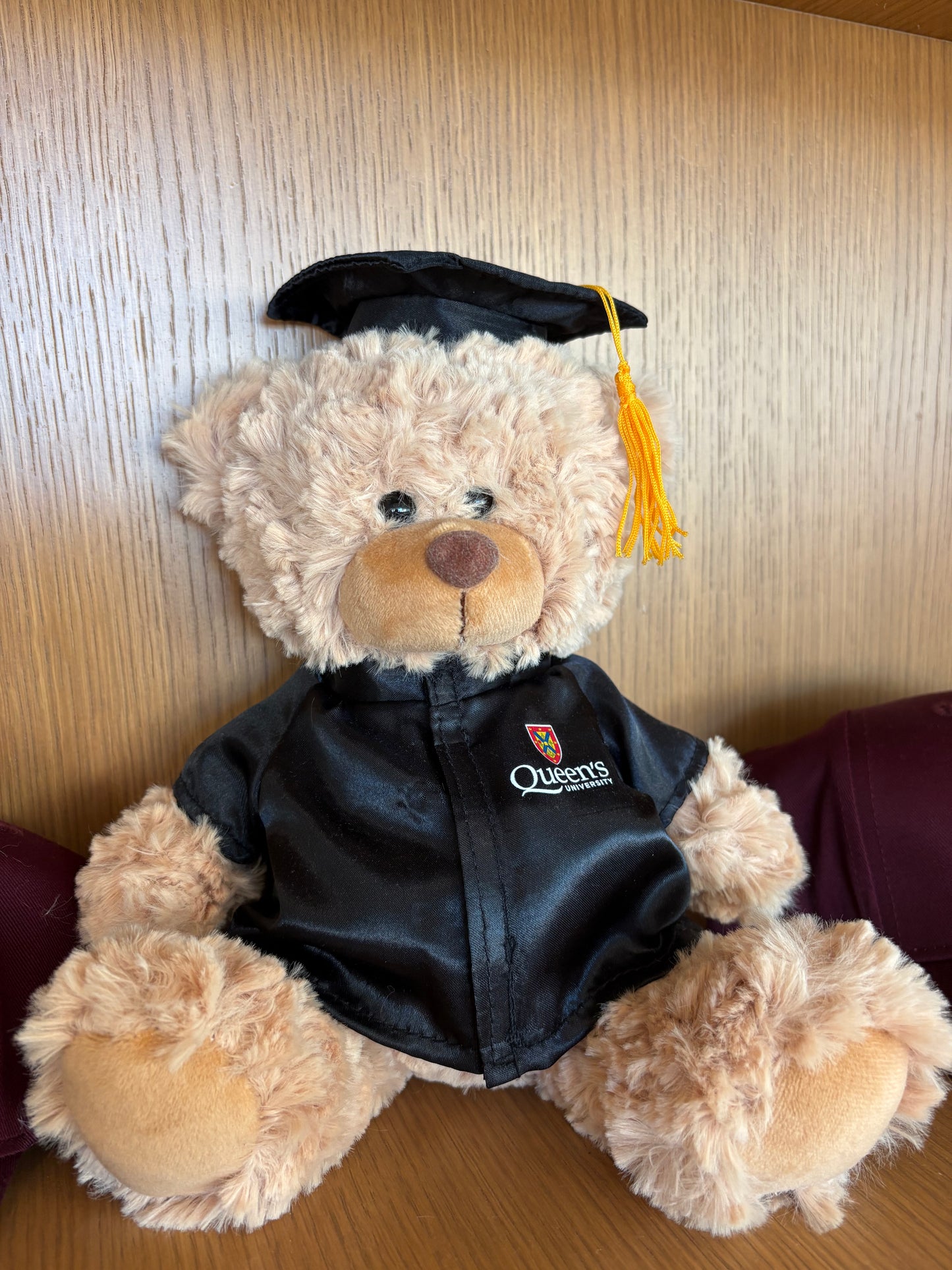 Graduation Bear